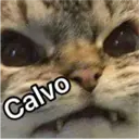 Nojao 27