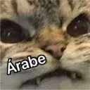 Nojao 3